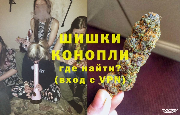 гидра Аркадак