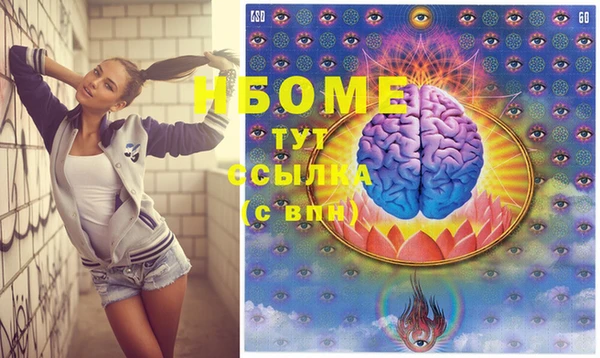 гидра Аркадак